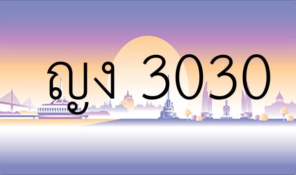 ญง 3030